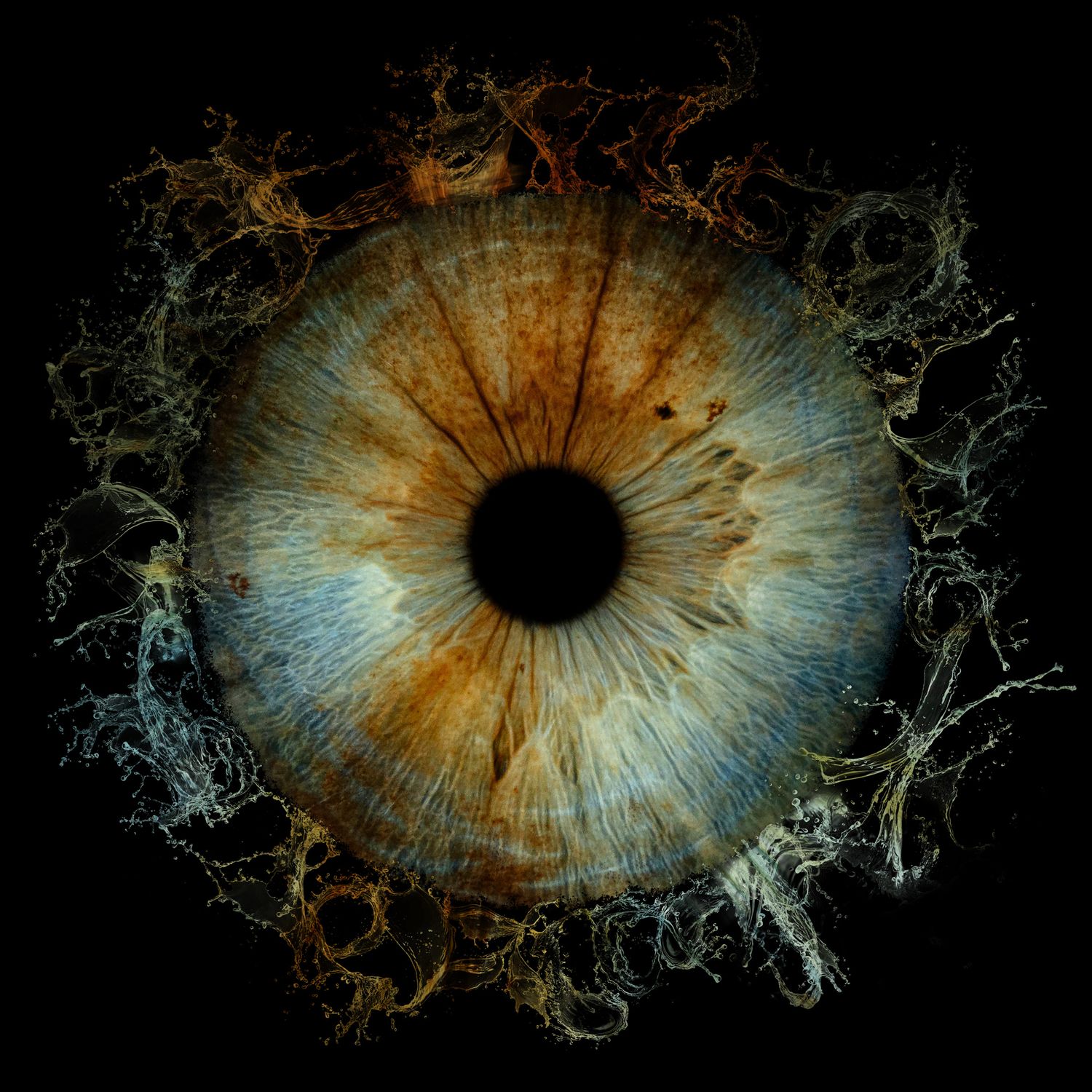 Science Source Eye Scientific Picture of the Human Eye · Free Stock Photo