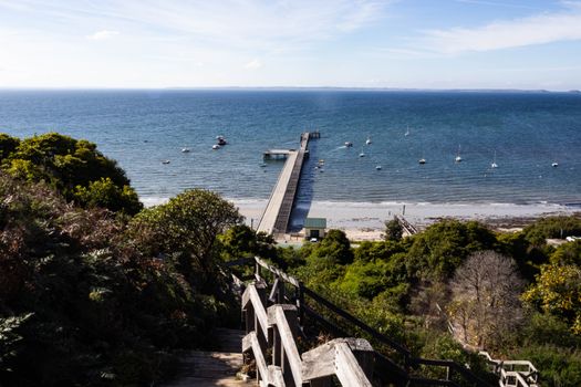 mornington peninsula vineyard
