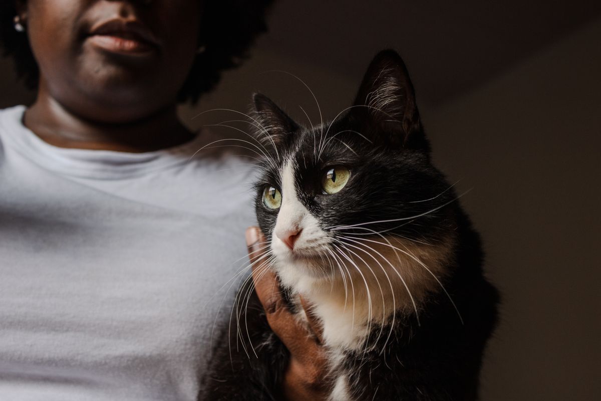 Woman lovingly holding a black-and-white cat at home, both faces visible