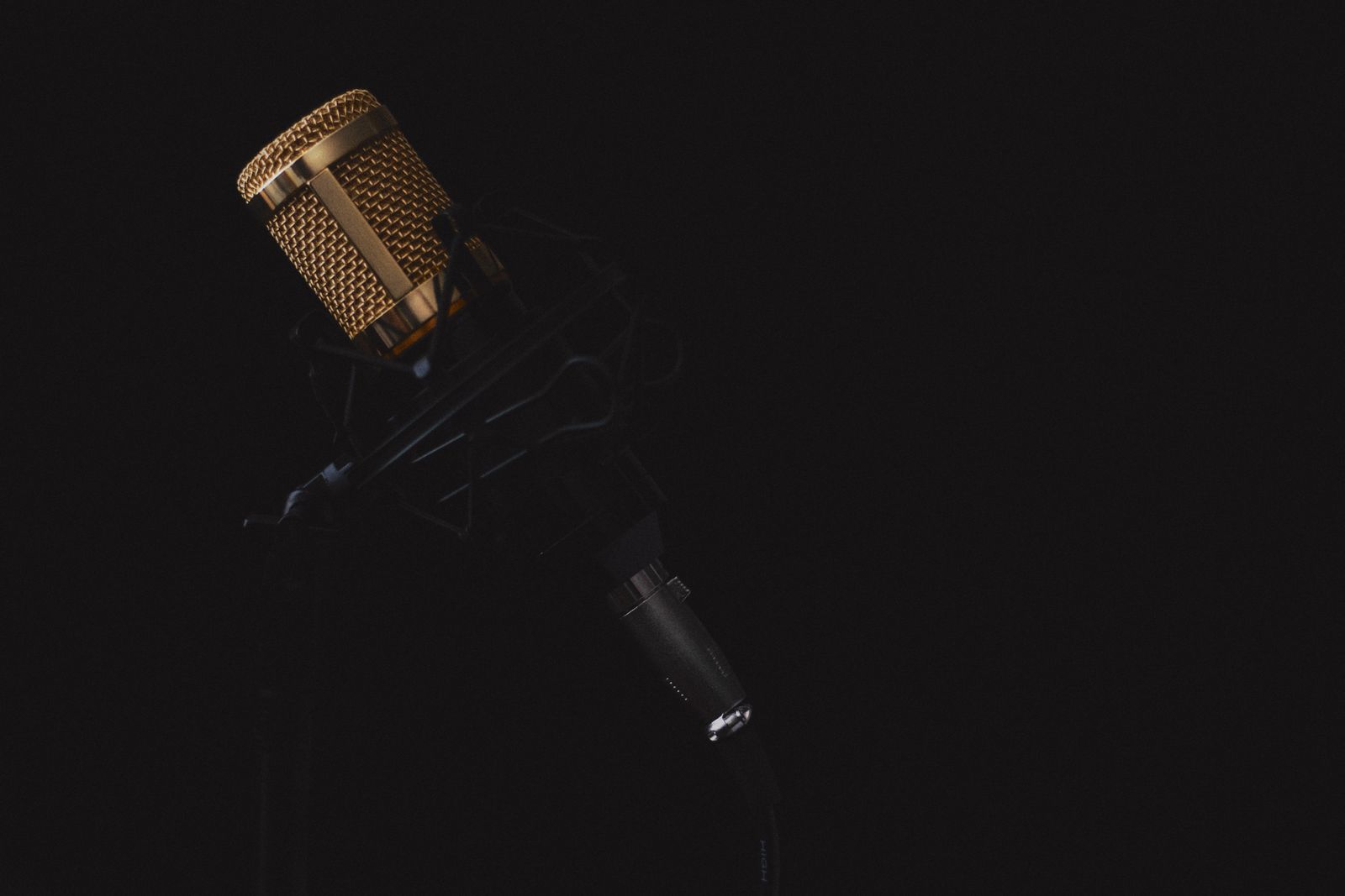 ElevenLabs Audio Metadata: What Voice Clone Exports Contain