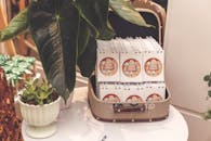 桌子上郁郁葱葱的绿色植物围绕着时尚的记事本显示器