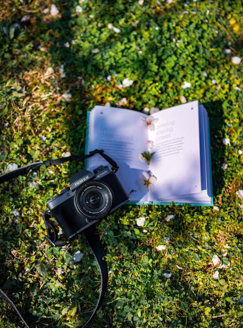 Fotobanka s bezplatnými fotkami na tému 4k tapety, akčná kamera, dedinský