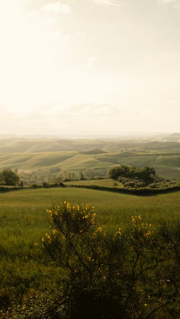 Beautiful rolling hills of Toscana, Italy at sunset, capturing rural warmth and tranquility.