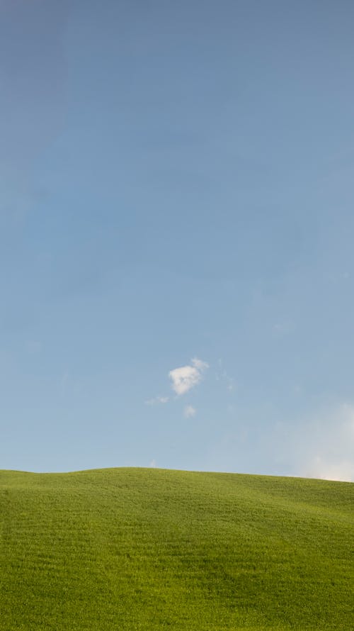 Безкоштовне стокове фото на тему «безтурботний, блакитне небо, краєвид»