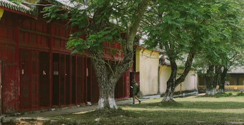 A red building with a tree in front of it