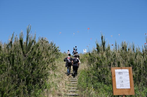 People walking up a hill with kites flying