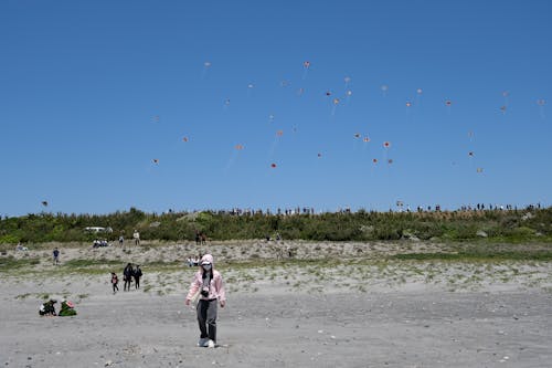 Free stock photo of 23mm, blue sky, crowded