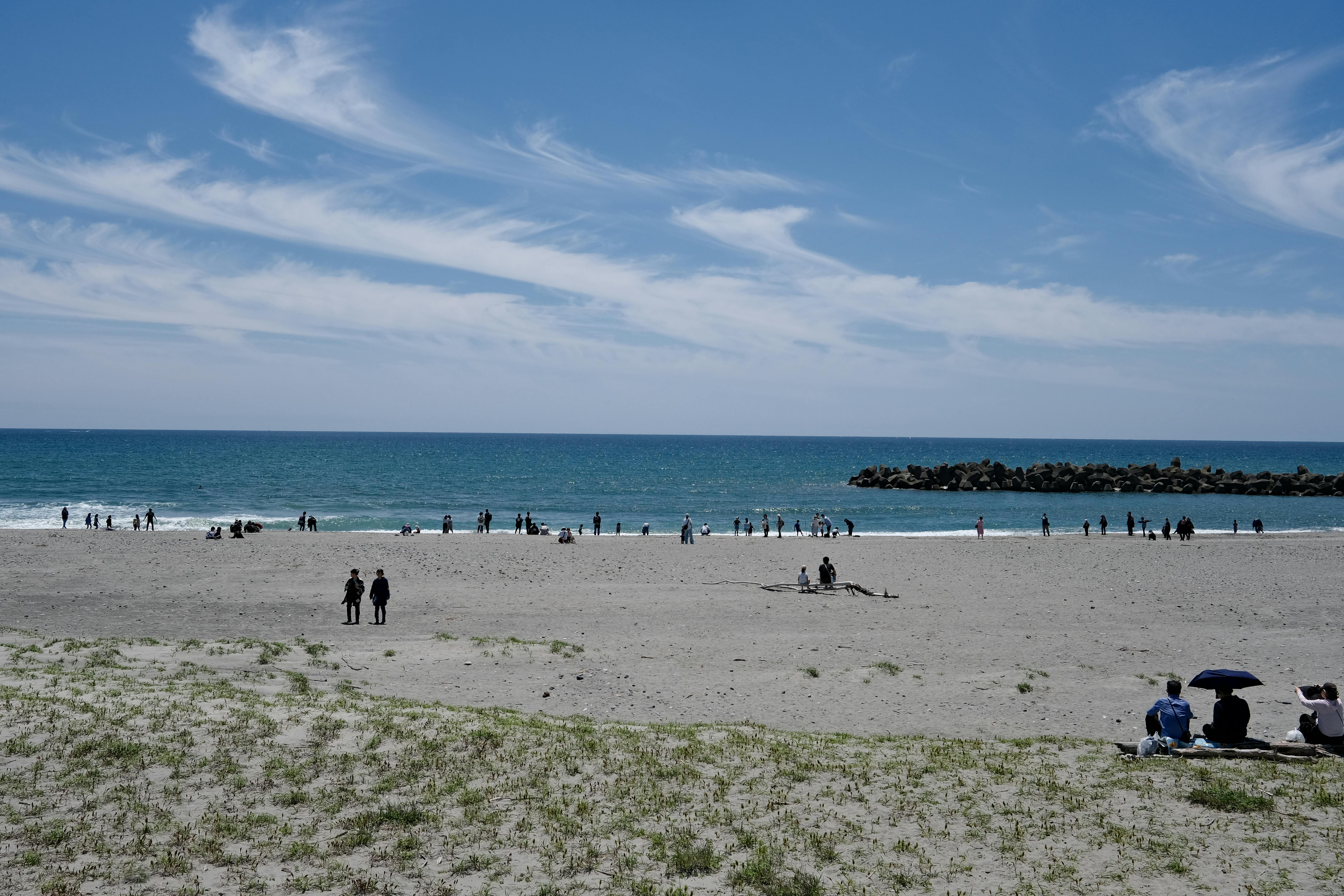 view of people on a beach