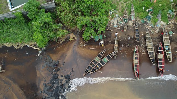 Aerial view of canoes along Nicholls Island, Cameroon shoreline with lush greenery.