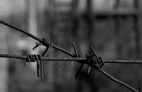 Barbed Wires