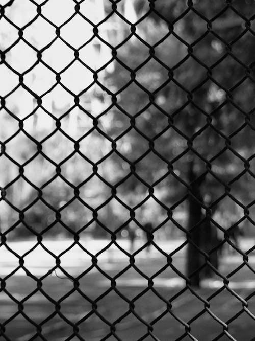 Fotobanka s bezplatnými fotkami na tému čierne a biele pozadie, čierny a biely, drôtený plot