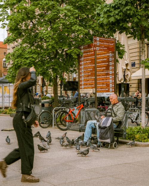 Ingyenes stockfotó bicicletes, vintageshop, zágráb témában