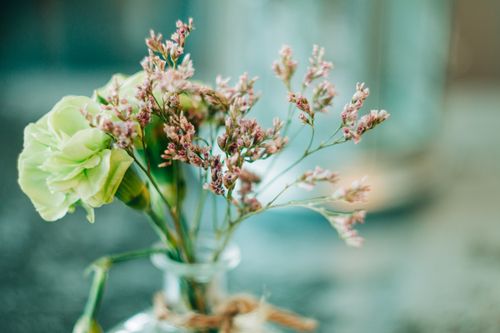 Free Delicate arrangement of limonium and green carnation in a small glass vase. Stock Photo