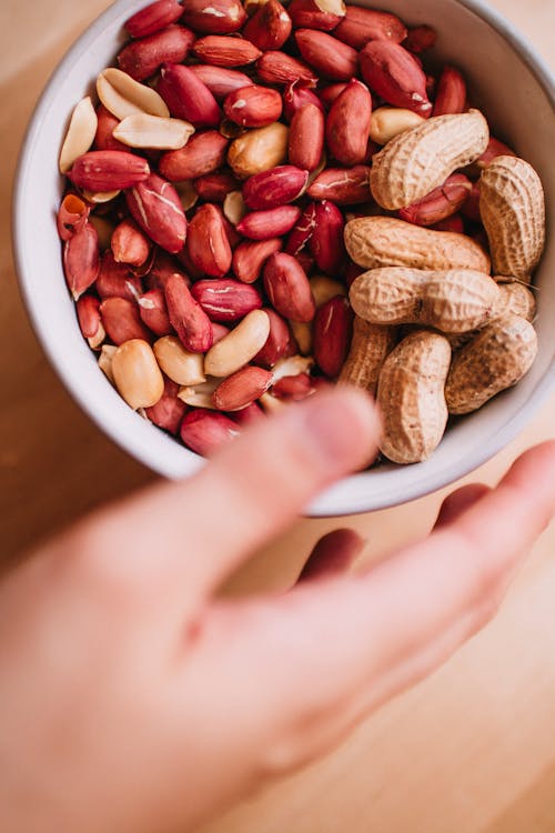 A person's hand holding a bowl of peanuts