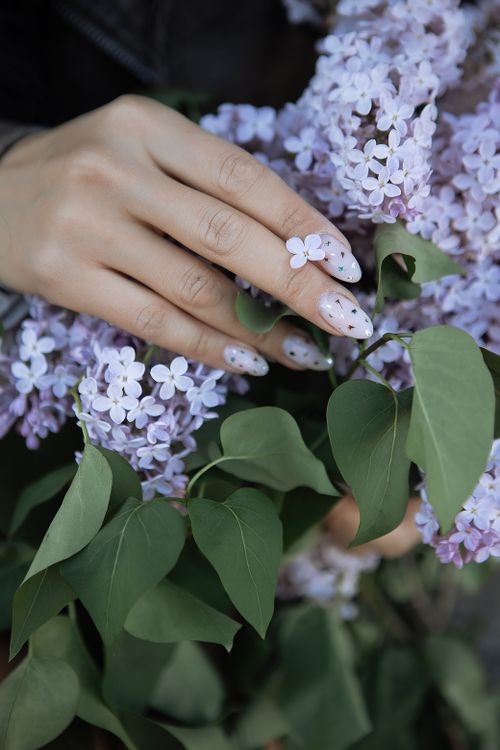 Free Close-up of a hand gracefully touching lilac blossoms, showcasing intricate nail art. Stock Photo