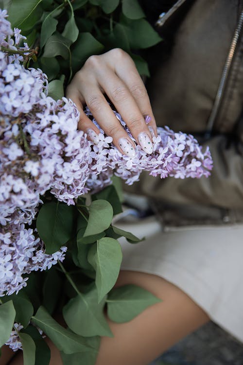 A woman's hands are holding a bunch of purple flowers