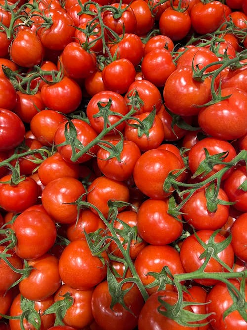 domates, kırmızı, taze sebze içeren Ücretsiz stok fotoğraf