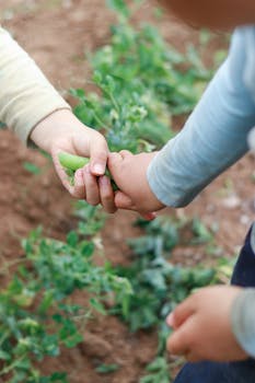 Image by Chaos Tyrone