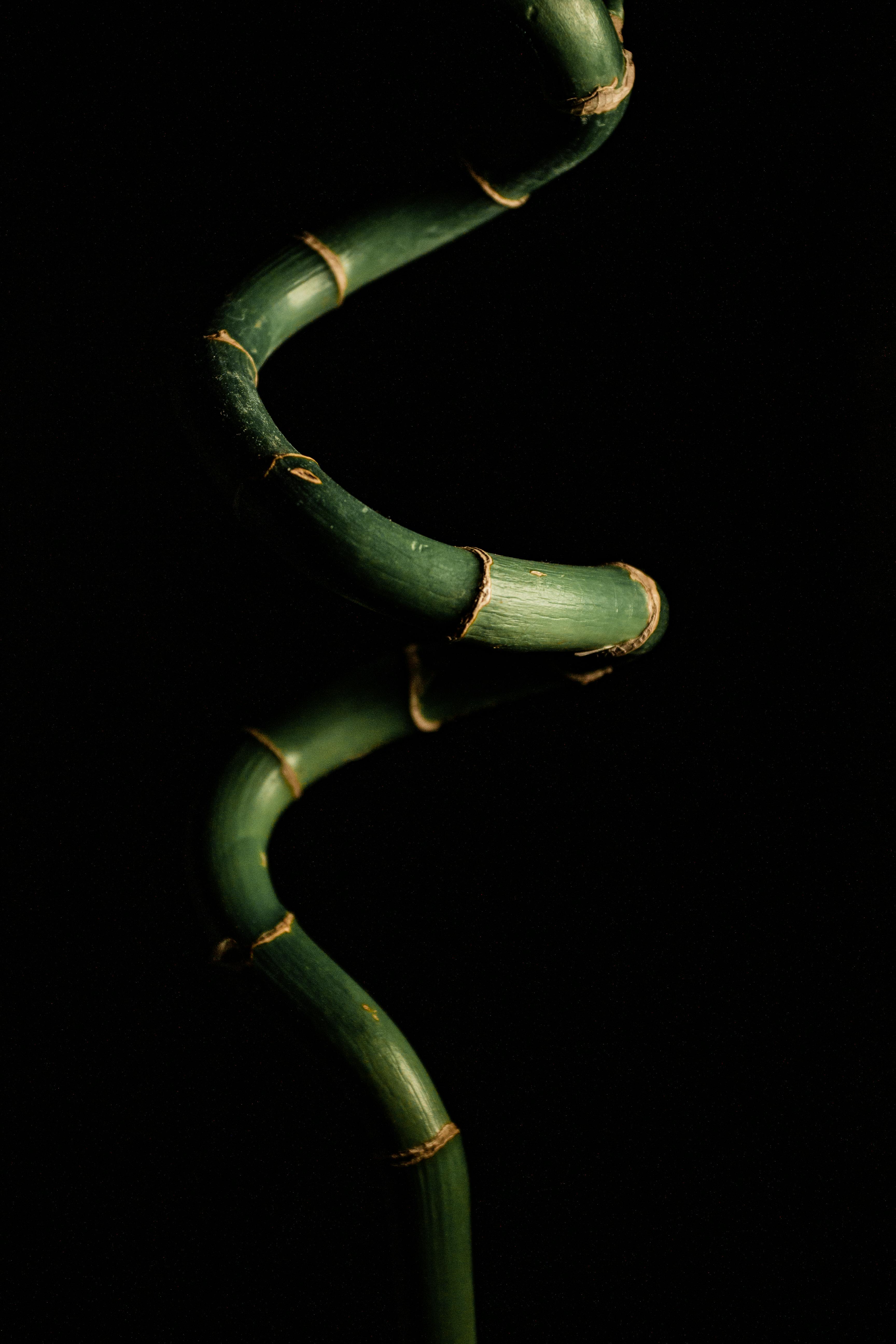 Unduh 91 Koleksi Background Hitam Foto Paling Keren
