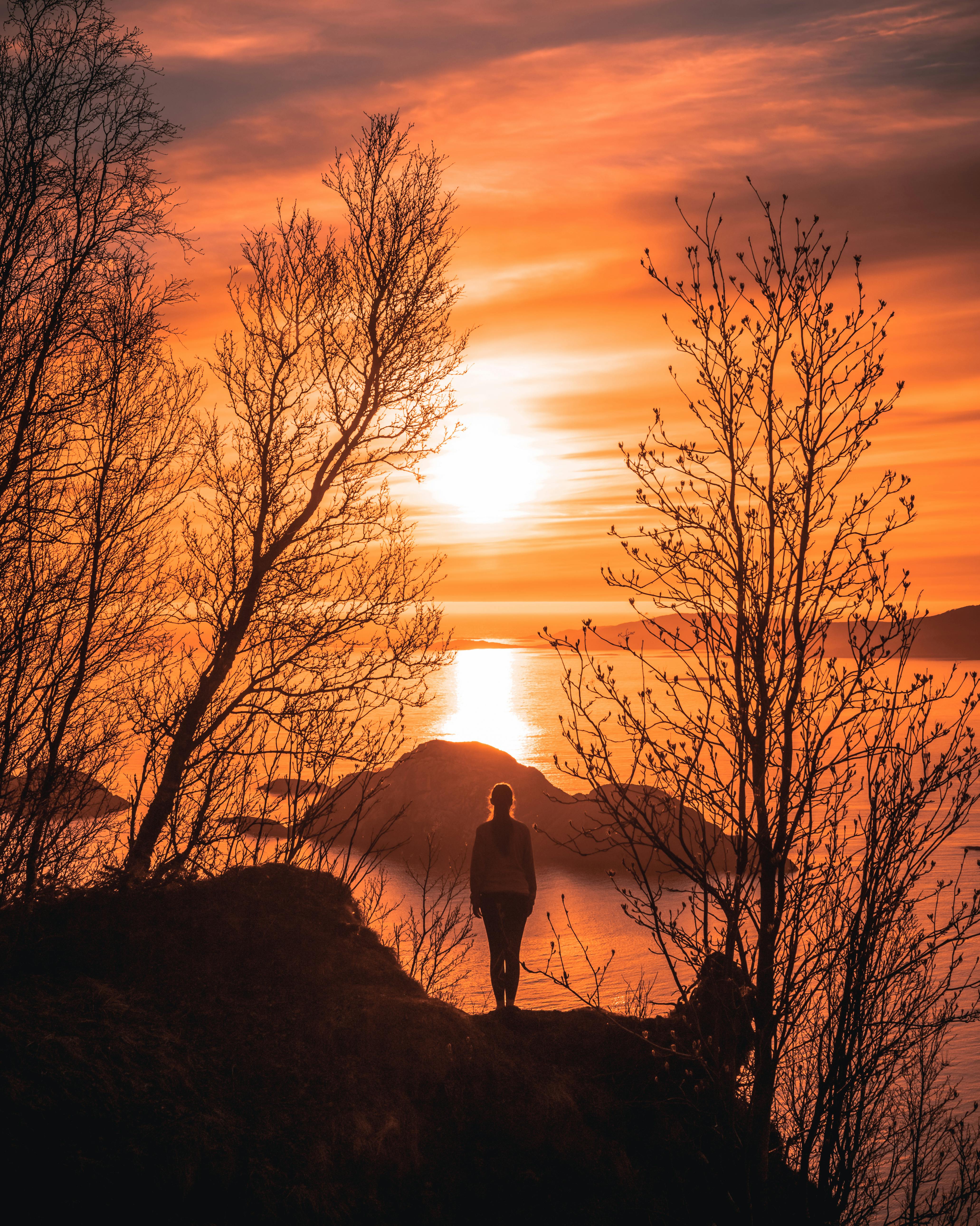 woman standing on cliff beside trees during sunset