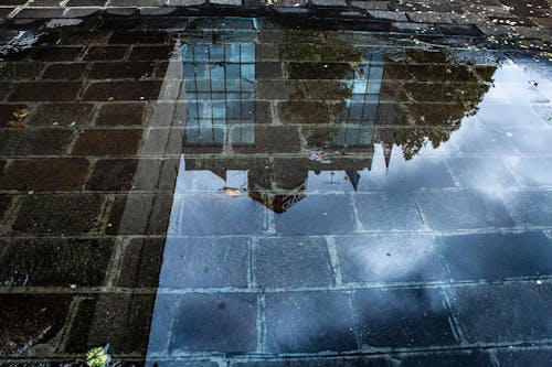 Free stock photo of architecture, cloudy sky, puddle