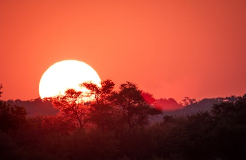 Vue Panoramique Du Coucher Du Soleil