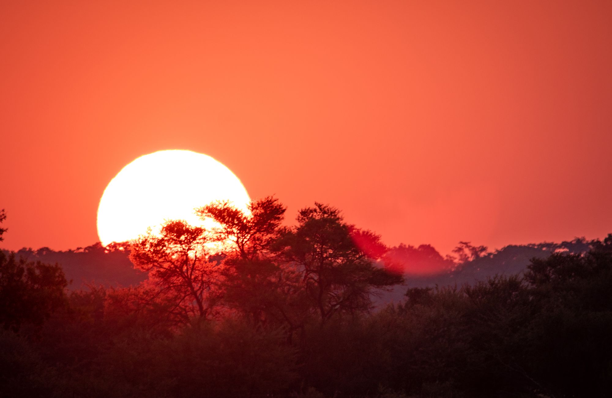 Woodland sunset — generic wilderness placeholder