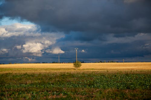 Základová fotografie zdarma na téma bouře, denní světlo, farma