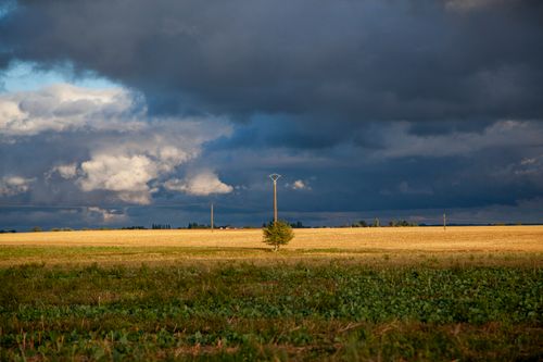 Free Scenic view of a stormy sky over a rural field with golden crops and dark clouds. Stock Photo