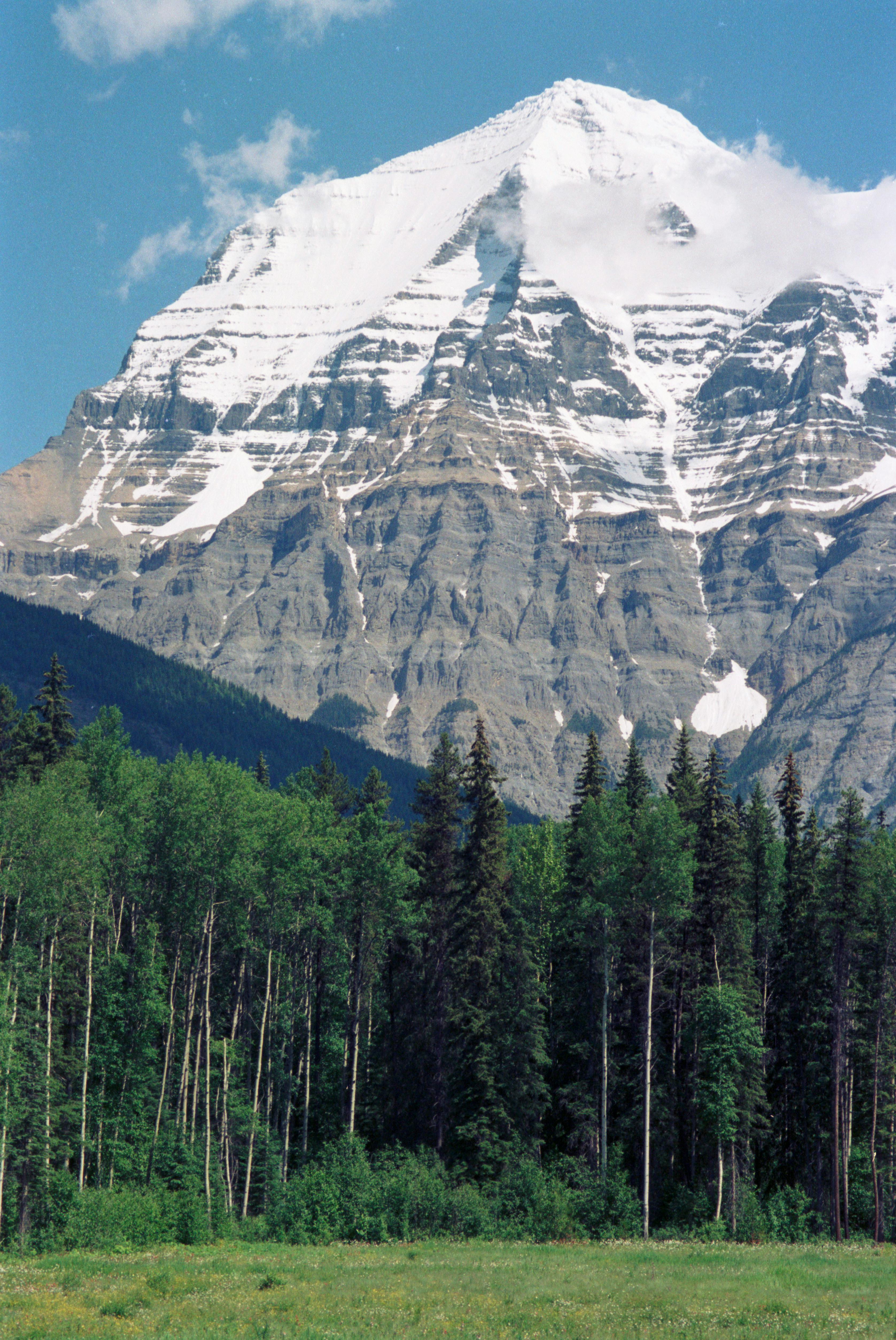 Capture the majestic beauty of Mount Robson, Canada, with lush green forest and towering snowy peak.