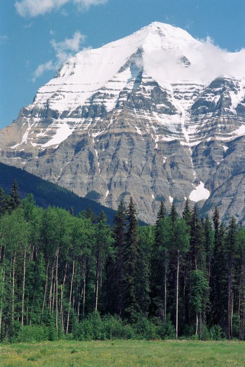 Free Capture the majestic beauty of Mount Robson, Canada, with lush green forest and towering snowy peak. Stock Photo