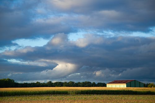 бесплатная Фотография пейзажа луга через белые облака Стоковое фото