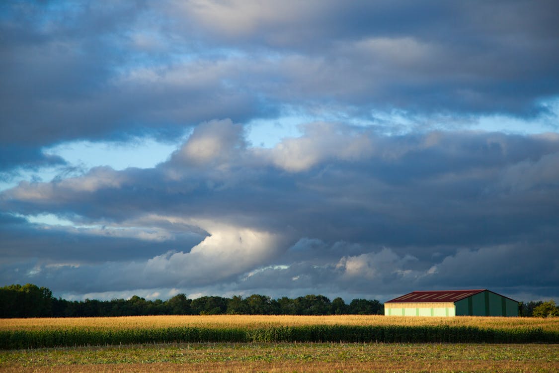白い雲の向こうの草原の風景写真
