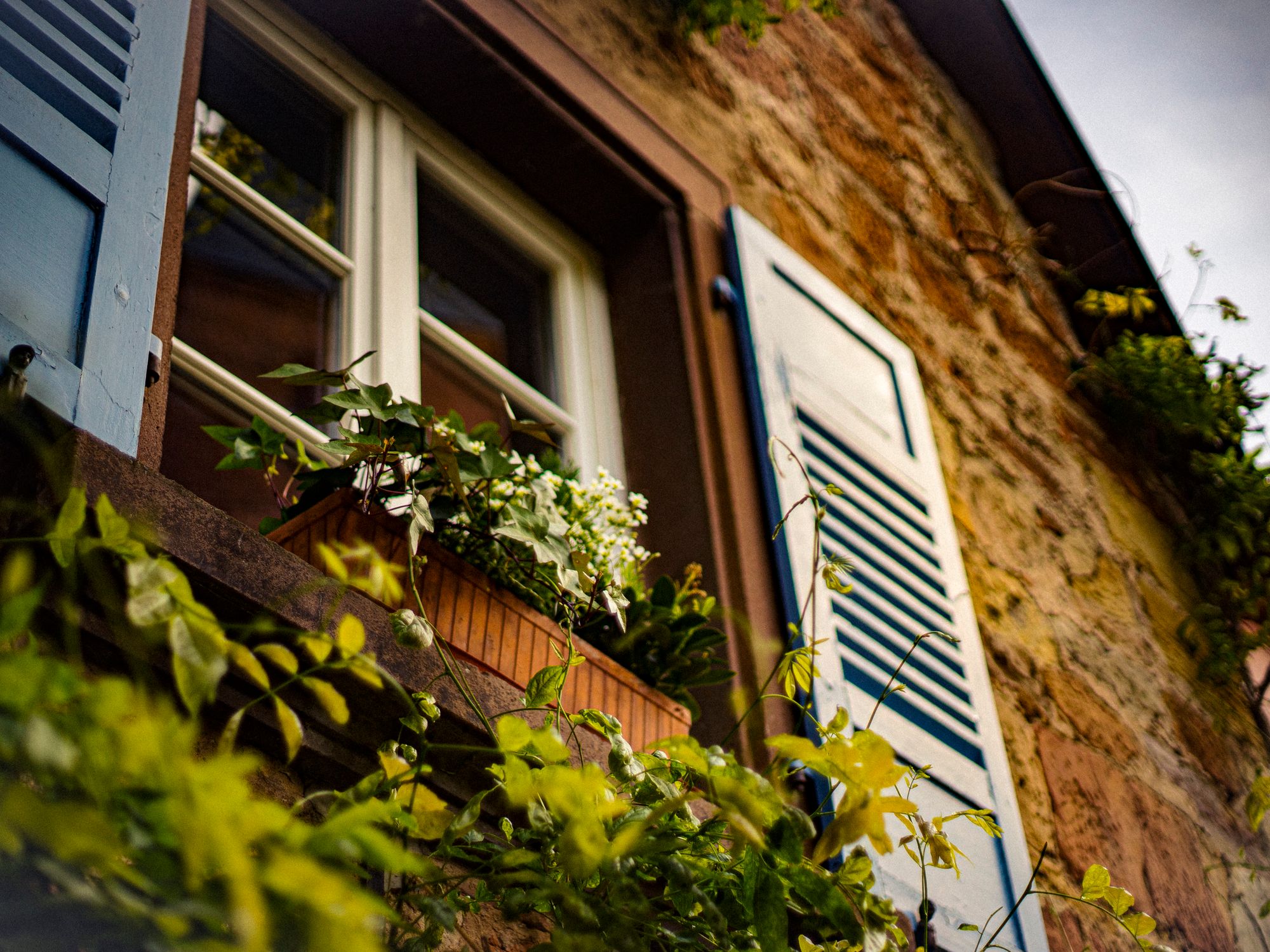 House Removals in Ogmore Vale, Wales — professional movers carrying furniture on a house move