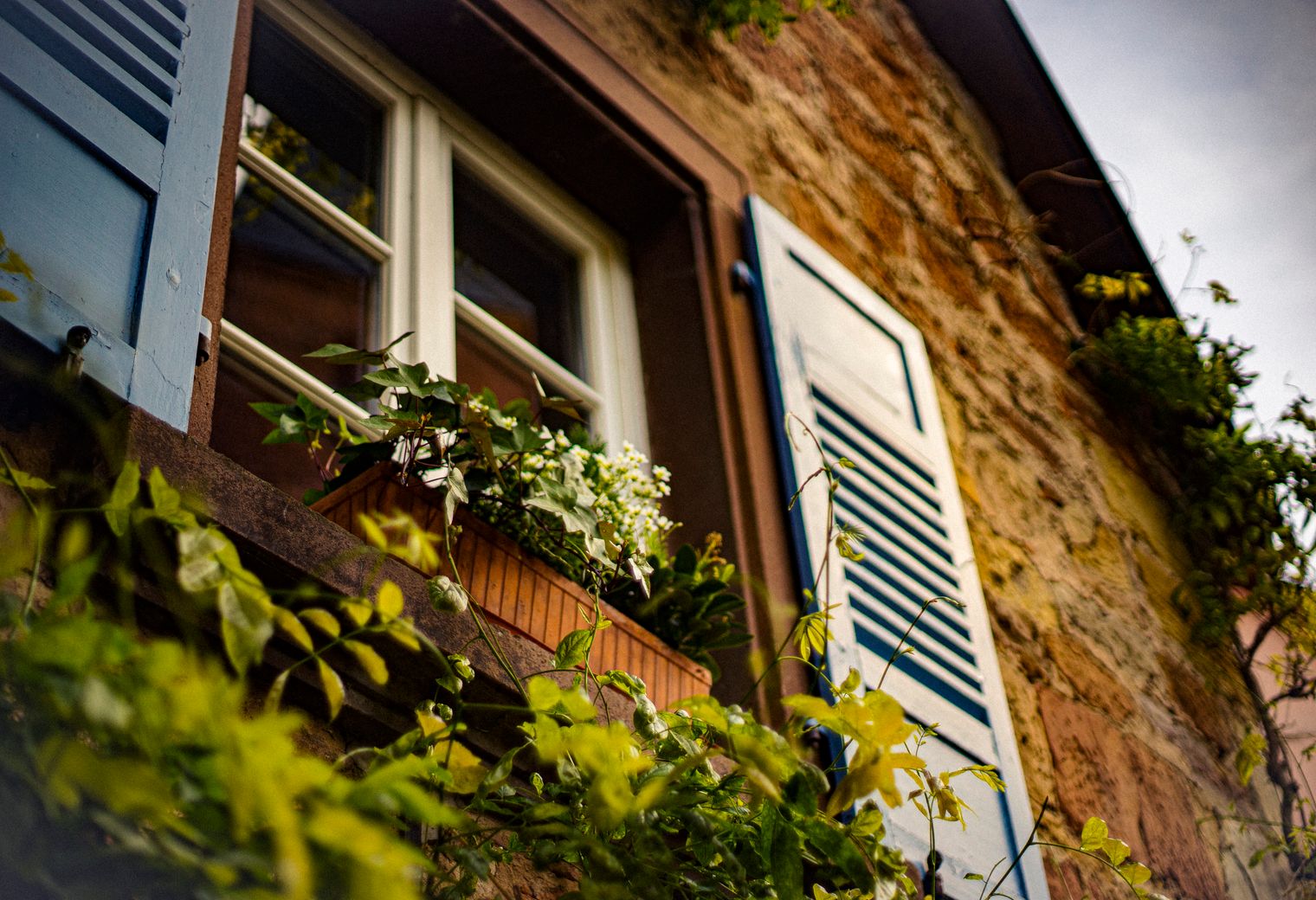 Portswood — professional movers carrying furniture on a house move