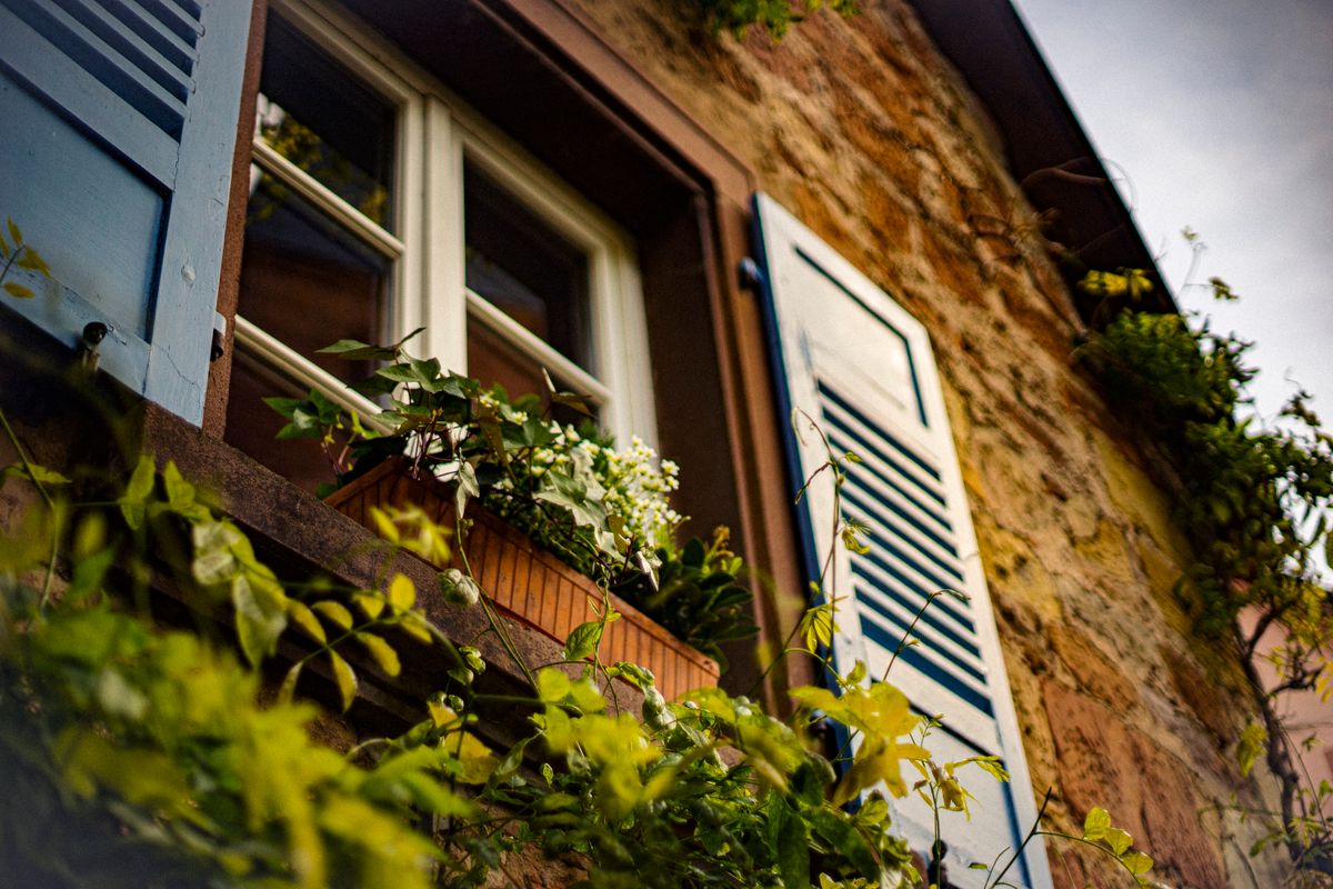 home removals in Clunderwen — Home Removals in Clunderwen — the working end of the job