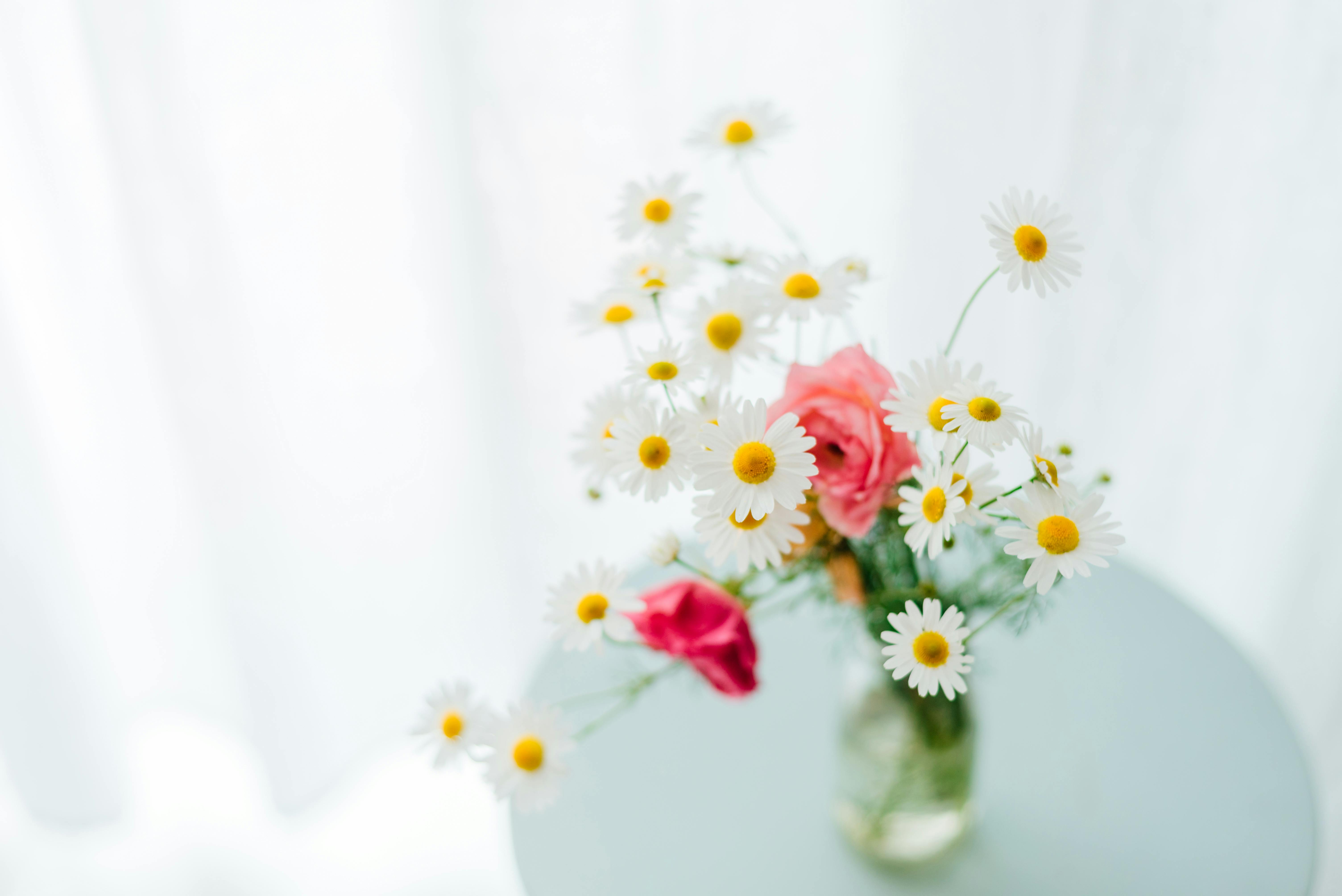 A charming bouquet of white daisies and pink roses in a glass vase on a bright table.