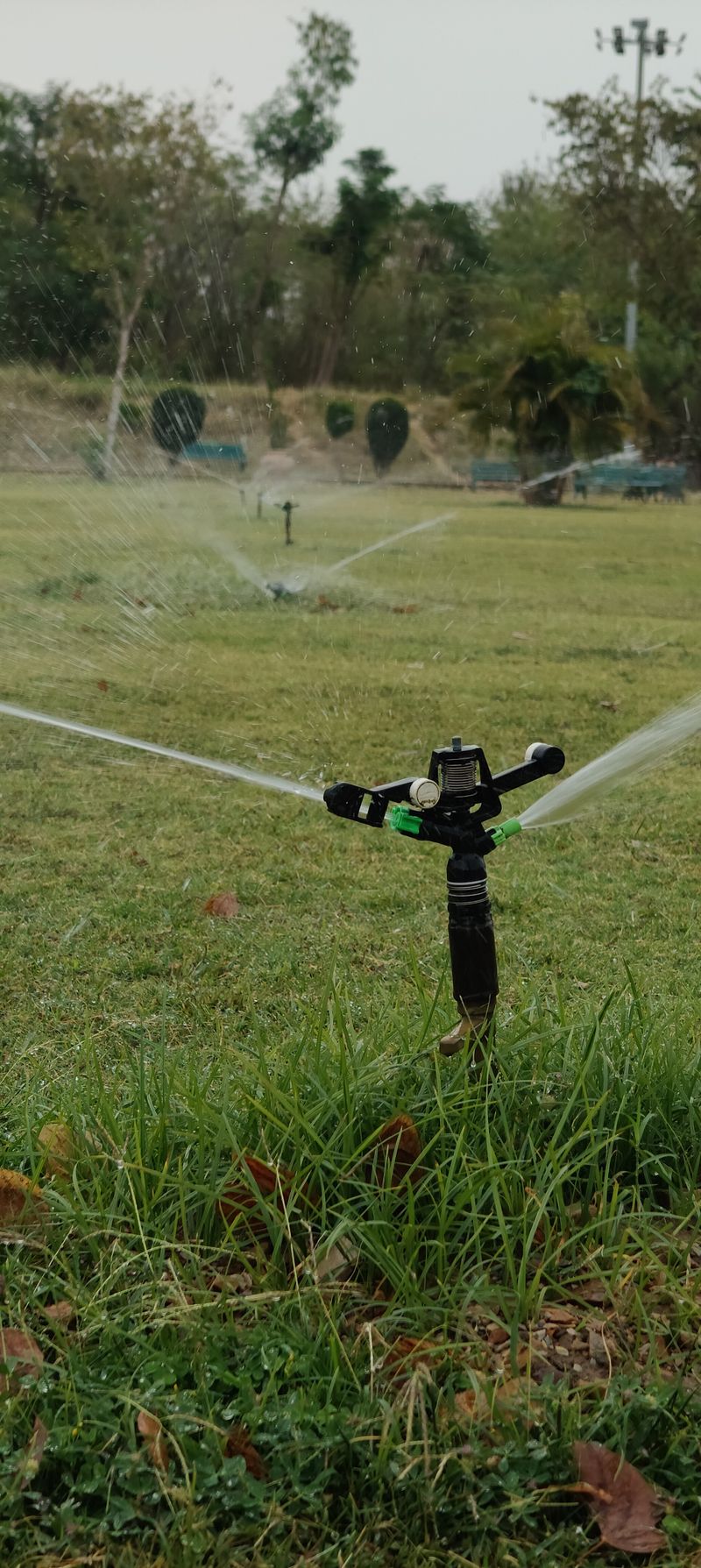 Sprinklers watering grass in a residential garden, Bergvliet