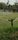 sprinkler