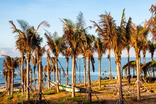 Free A scenic view of tropical palm trees and a coastal beach with clear blue water at sunset. Stock Photo