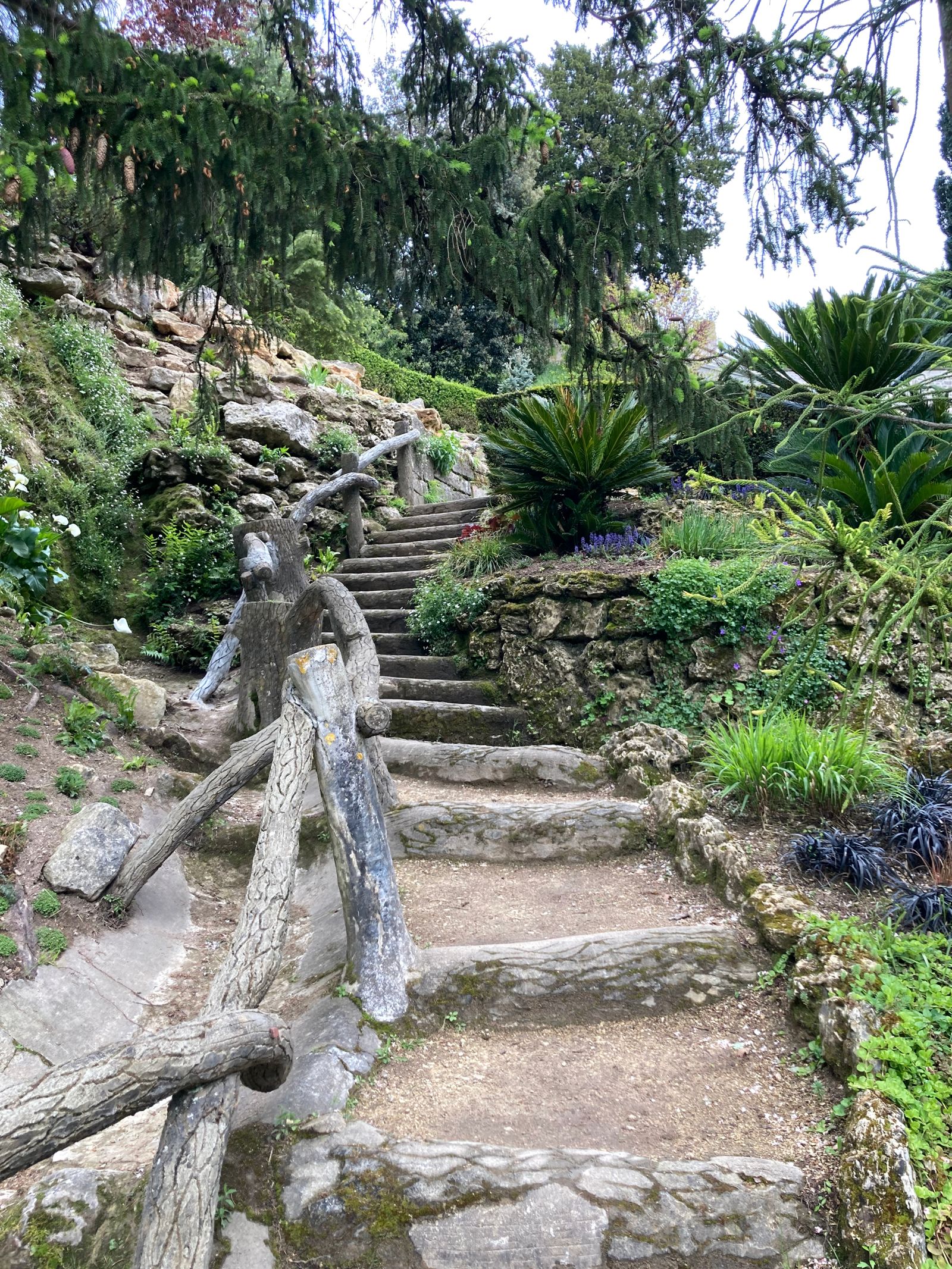 Escalier verdoyant