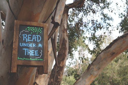 나뭇 가지에 매달려있는 나무 간판 아래에서 읽기