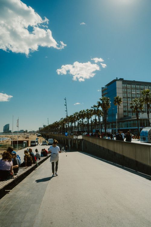 Free People enjoying a sunny day along Barcelona's bustling beach promenade with palm trees. Stock Photo