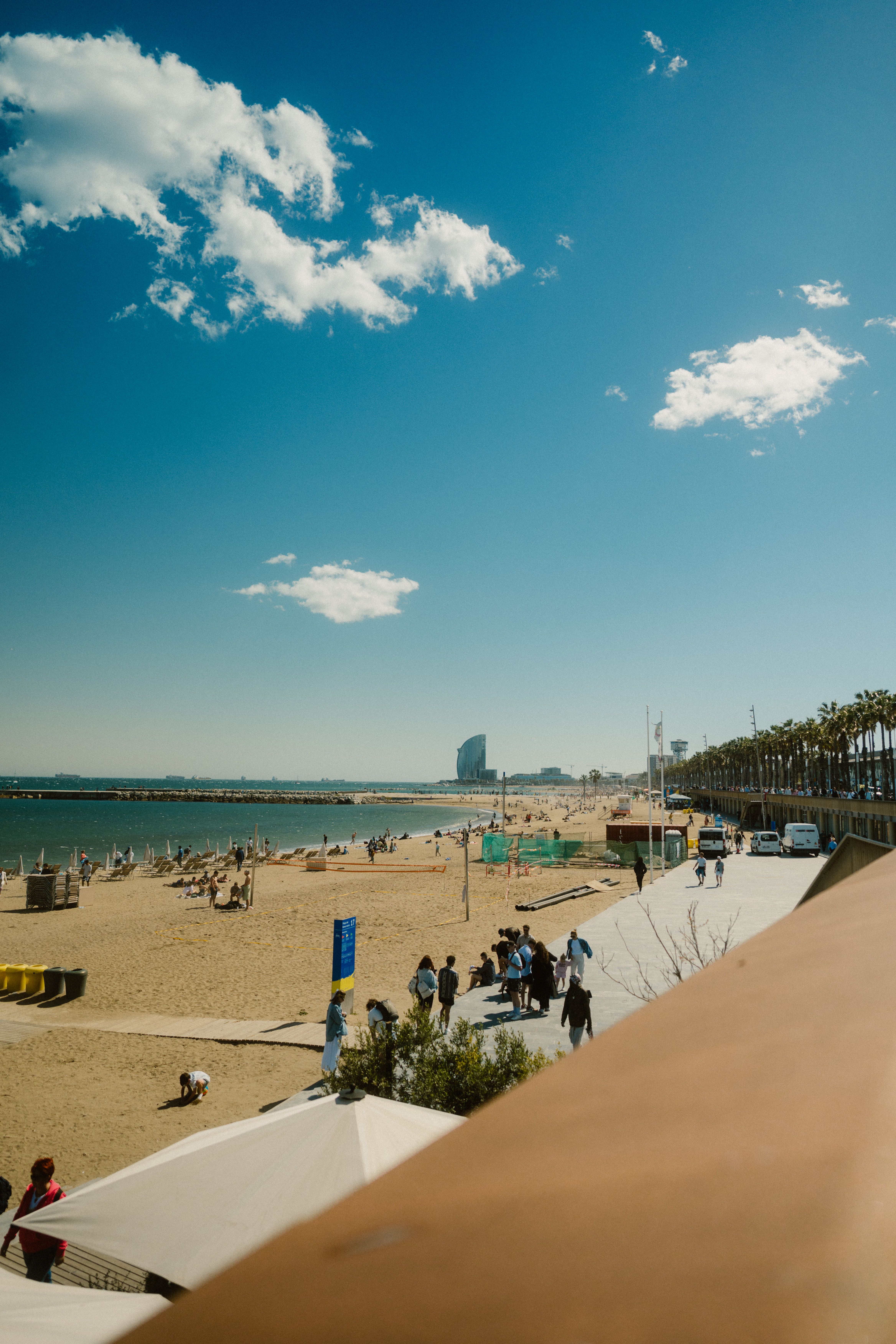 Explore the sunny beaches of Barcelona with palm trees and the vibrant city backdrop. Perfect summer escape.