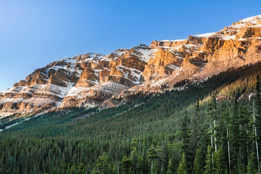 Stunning snow-capped mountains in Jasper, Alberta captured during the day with clear blue skies.