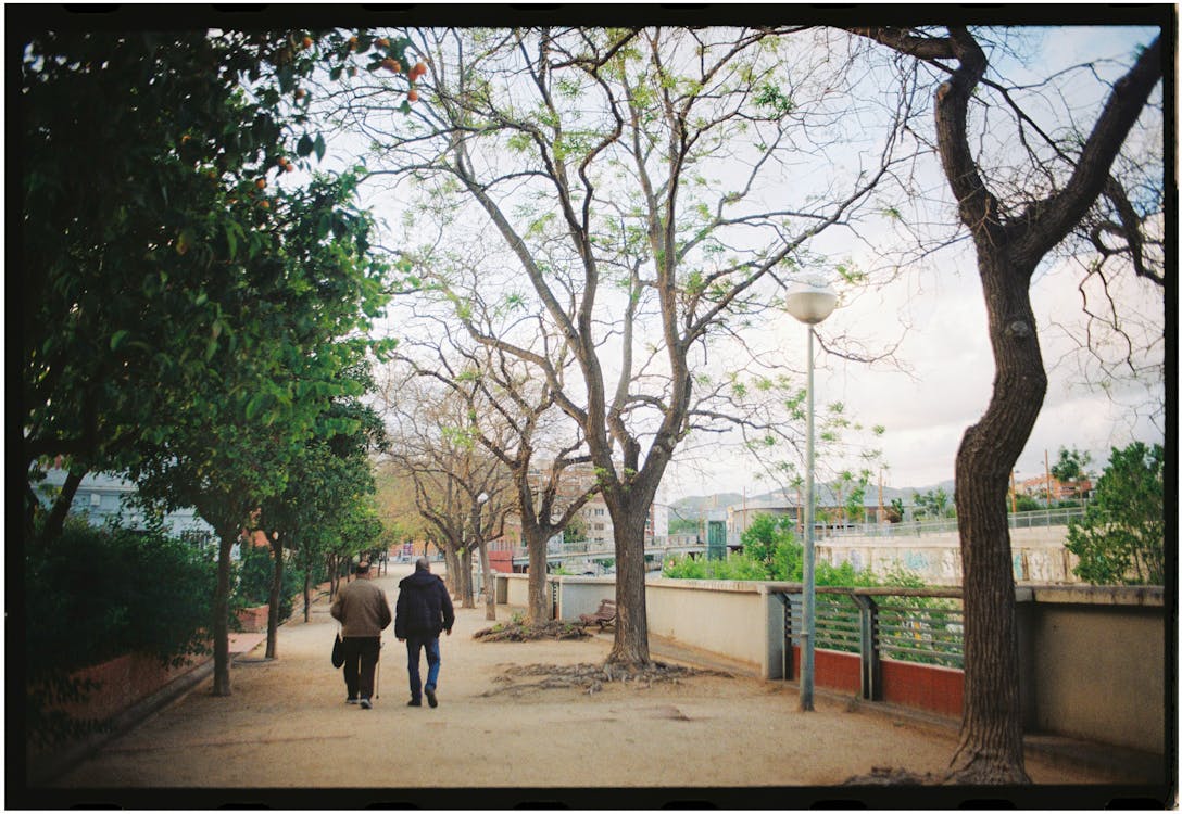 Two people walking down a sidewalk in a park