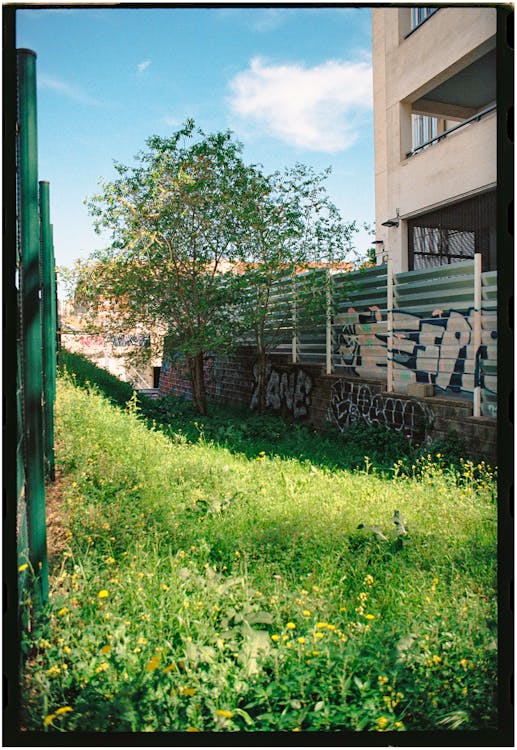 A grassy area with graffiti on it
