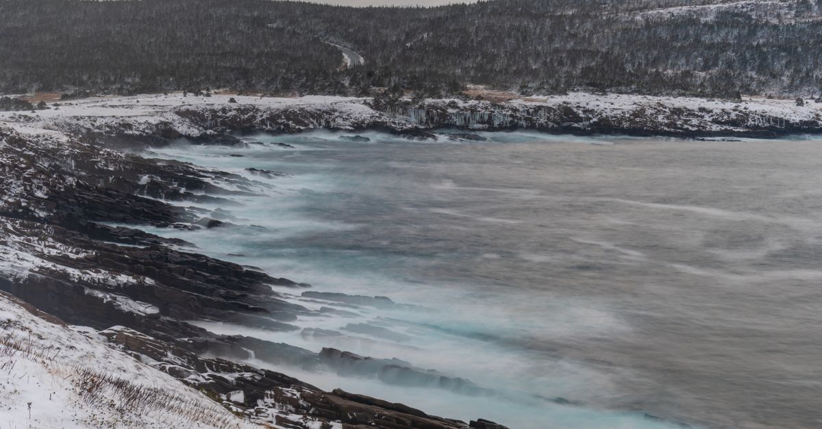 Wind Warnings Issued for Newfoundland Ahead of Weekend Fall Storm