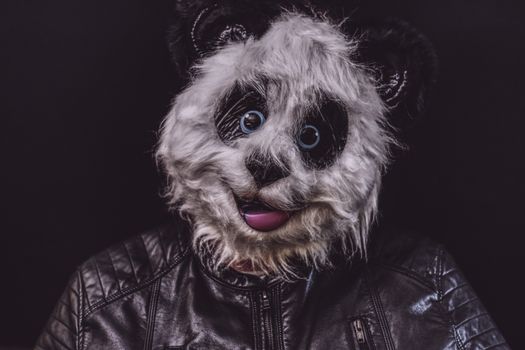 Close-up portrait of a panda mask on black background, contrasting textures of fur and leather.
