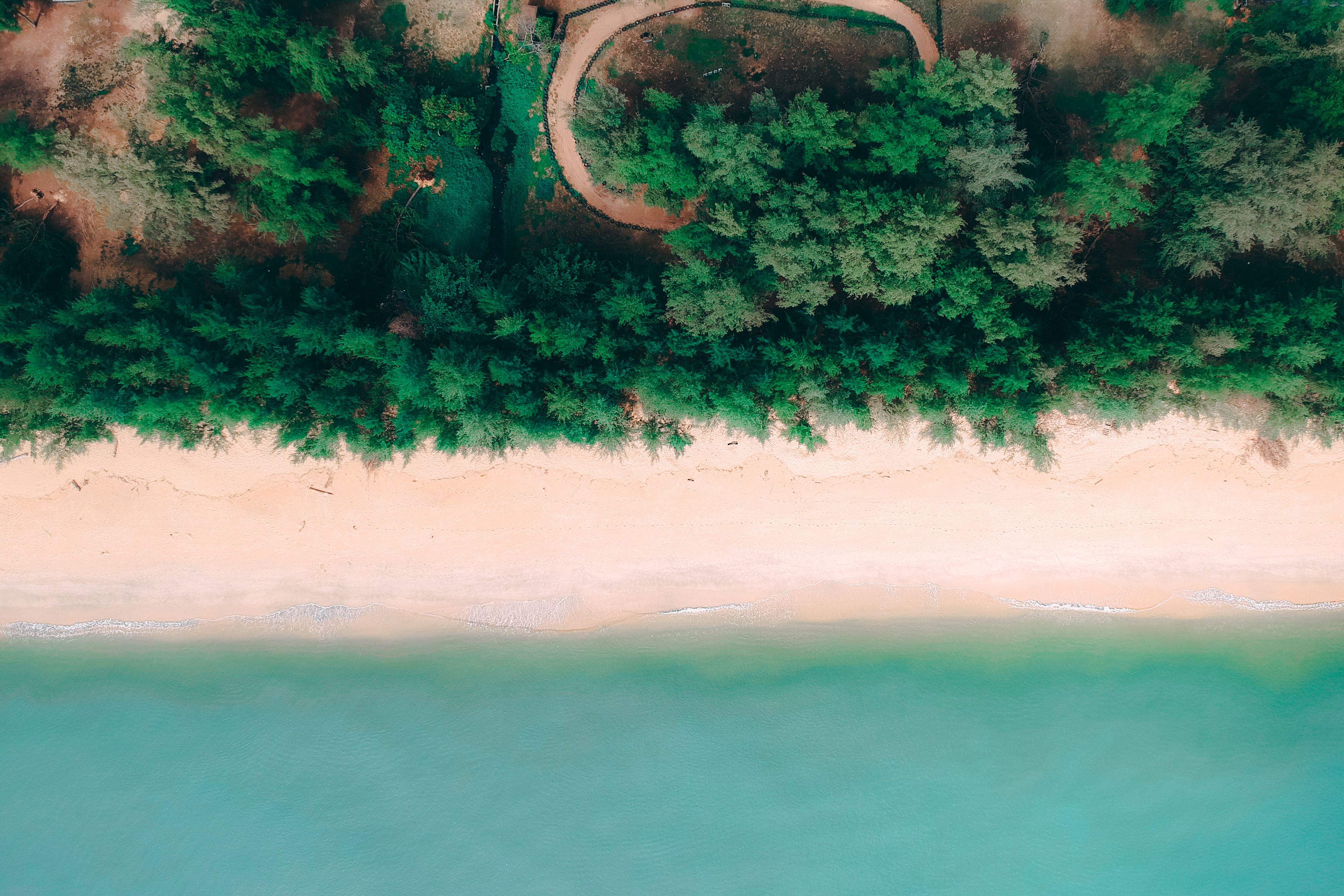 Stunning aerial view of a tranquil beach with adjacent lush forest and clear blue sea.